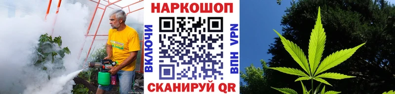 Где купить наркоту Губкин МАРИХУАНА  Альфа ПВП  Амфетамин  MDMA  Меф мяу мяу 