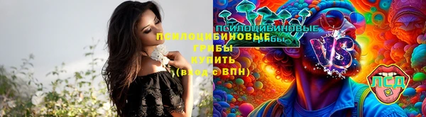 ALPHA PVP Медвежьегорск