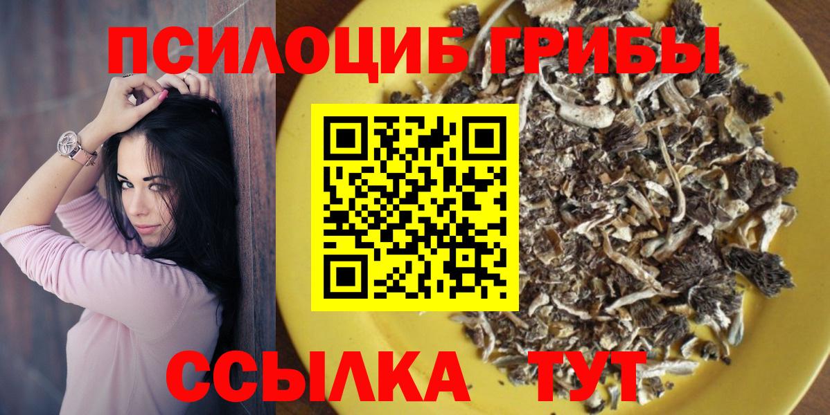 Губкин  Псилоцибиновые грибы Cubensis  магазин    Вход с VPN 